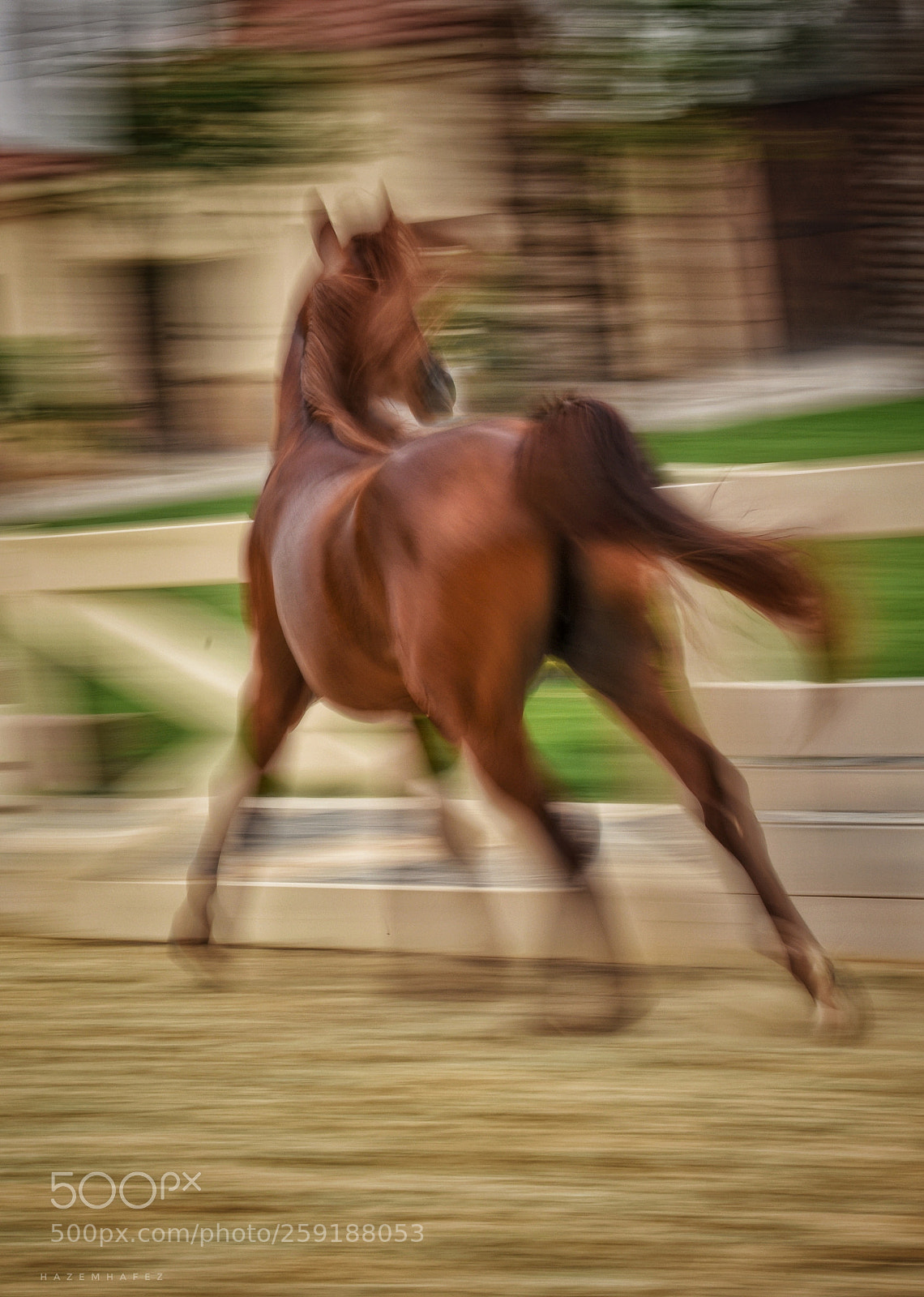 Nikon D810 sample photo. Speed photography