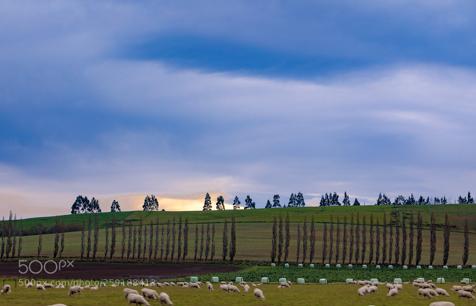 Canon EOS 5D Mark IV sample photo. Newzealand photography