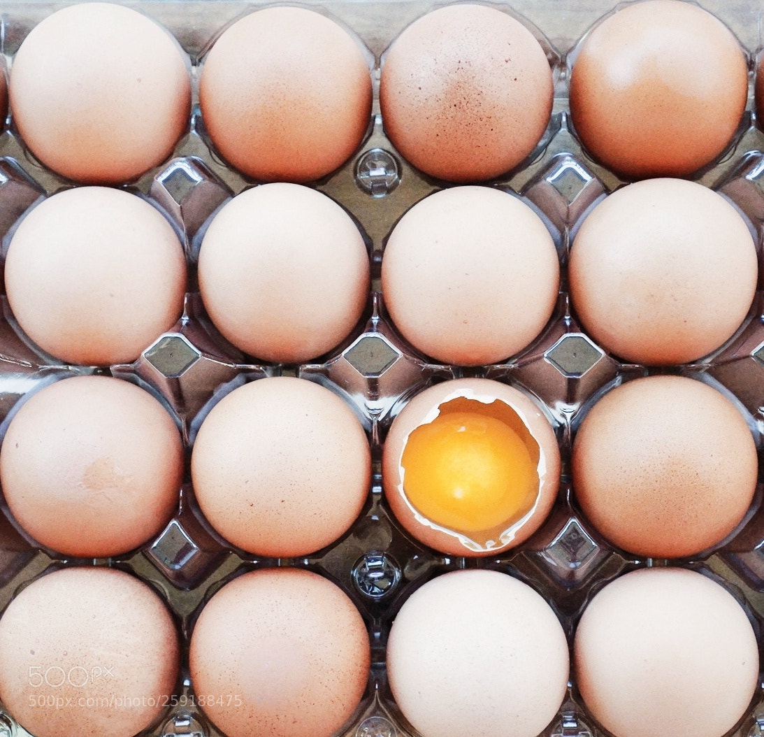 Sony a6300 sample photo. Found one broken egg photography
