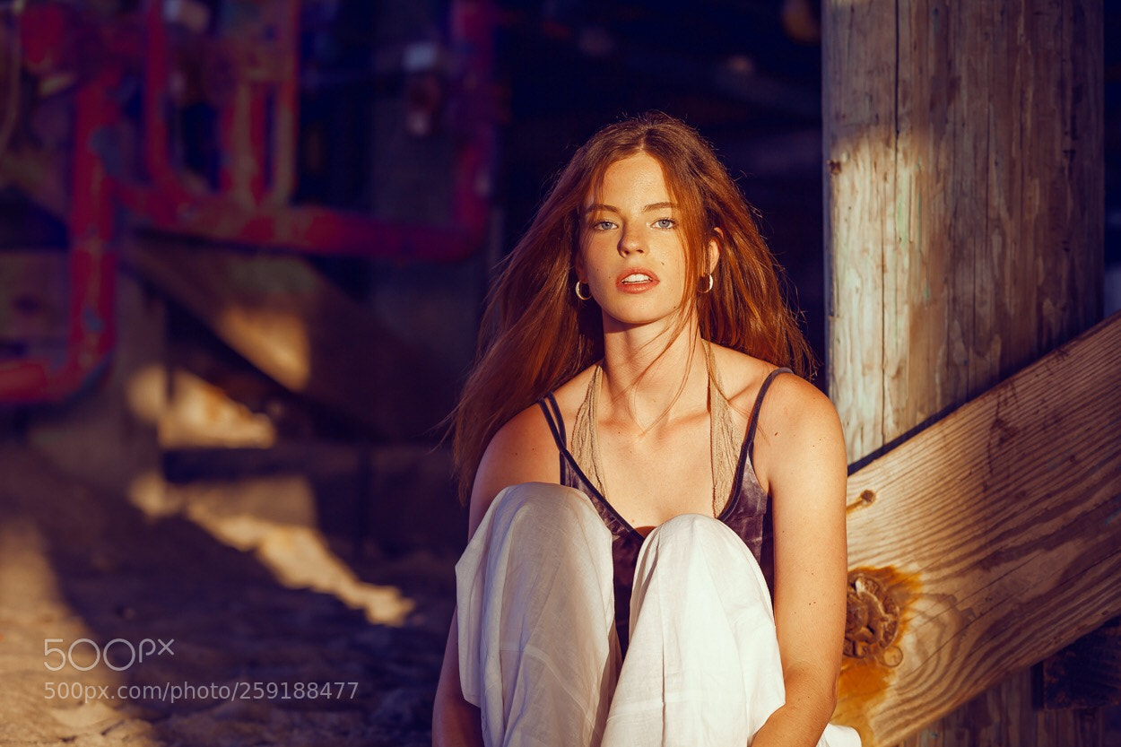 Canon EOS 5D Mark II sample photo. Sydney photography