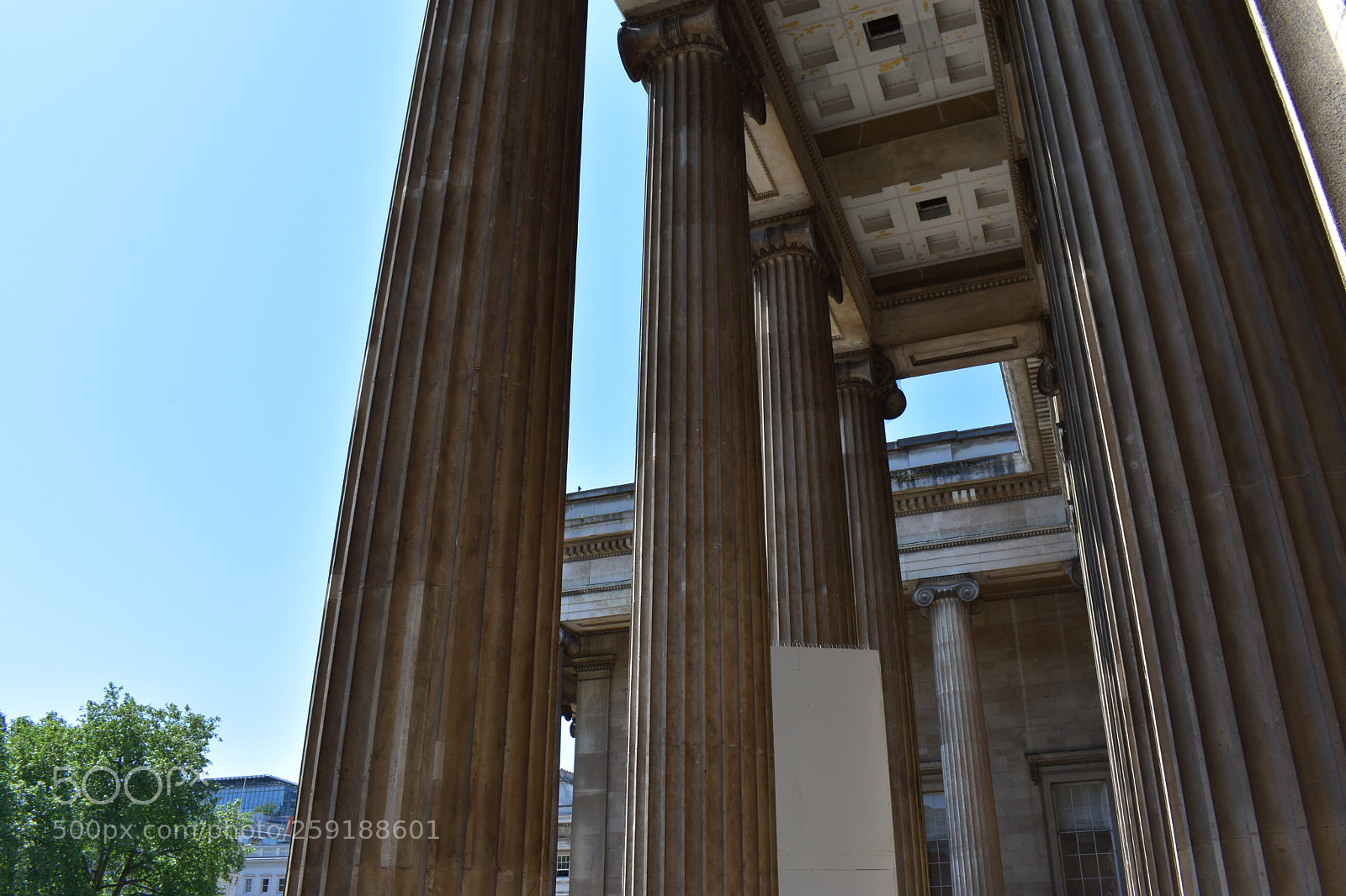Nikon D3400 sample photo. Untitled photography