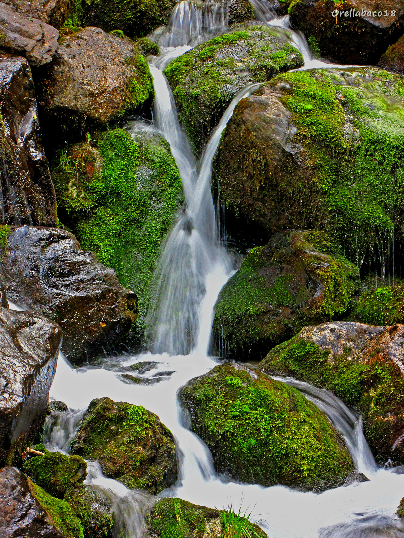 Canon PowerShot SX1 IS sample photo. Arroyo vall d'aran photography