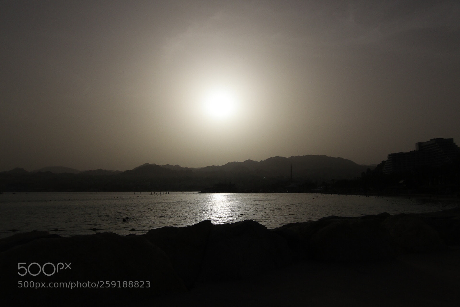 Canon EOS 80D sample photo. Untitled photography