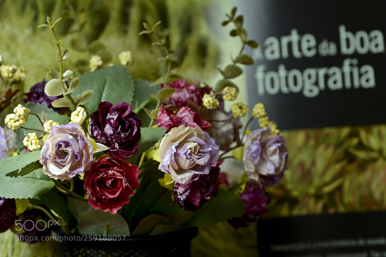 Nikon D7100 sample photo. A arte da boa photography