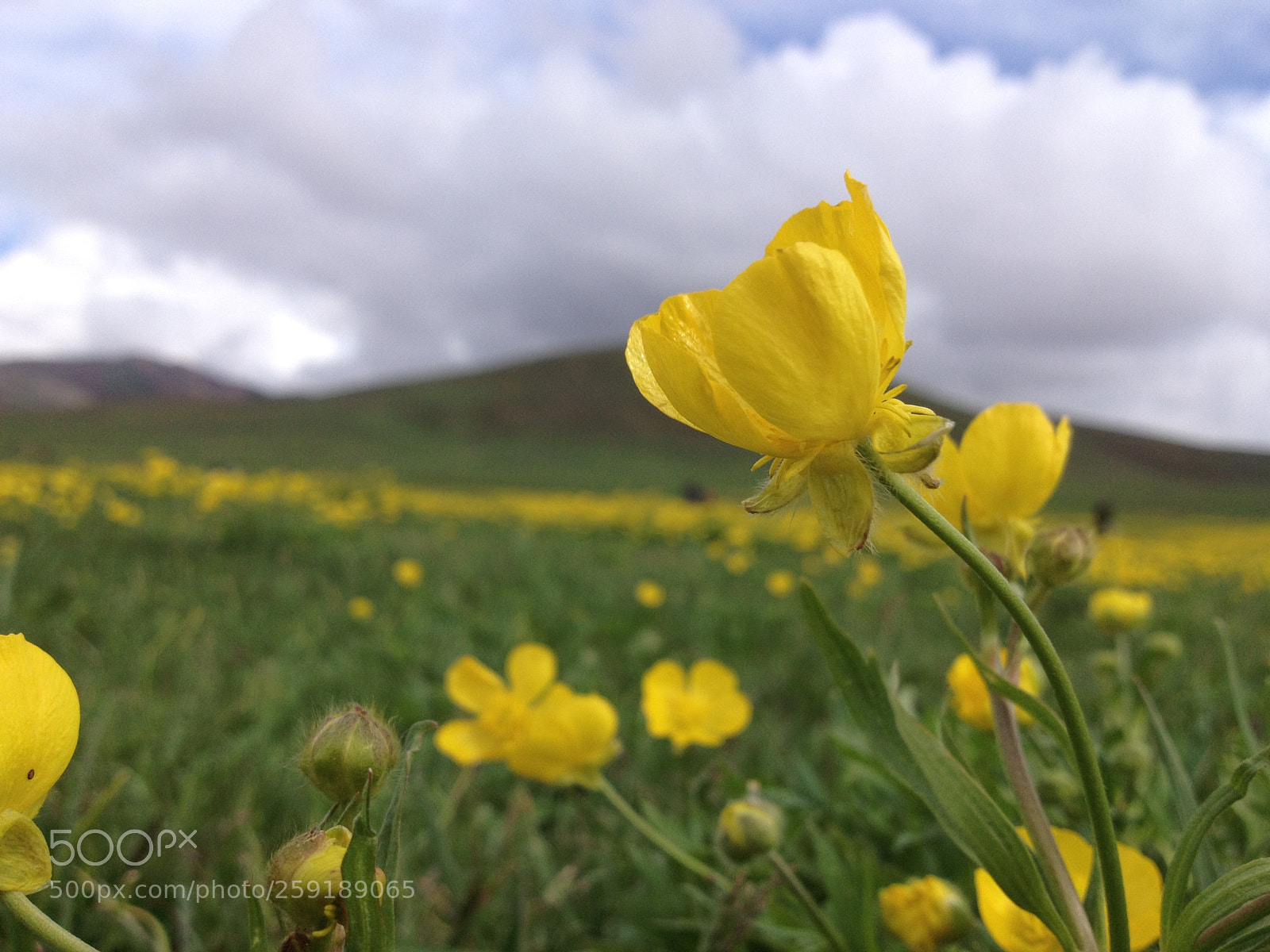 Apple iPhone 4S sample photo. Fresh air photography