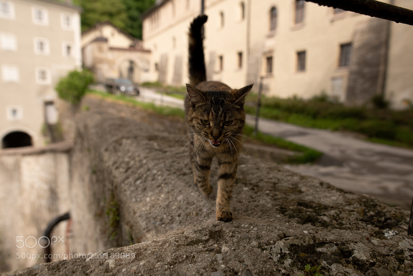 Nikon D750 sample photo. Salzburg. photography