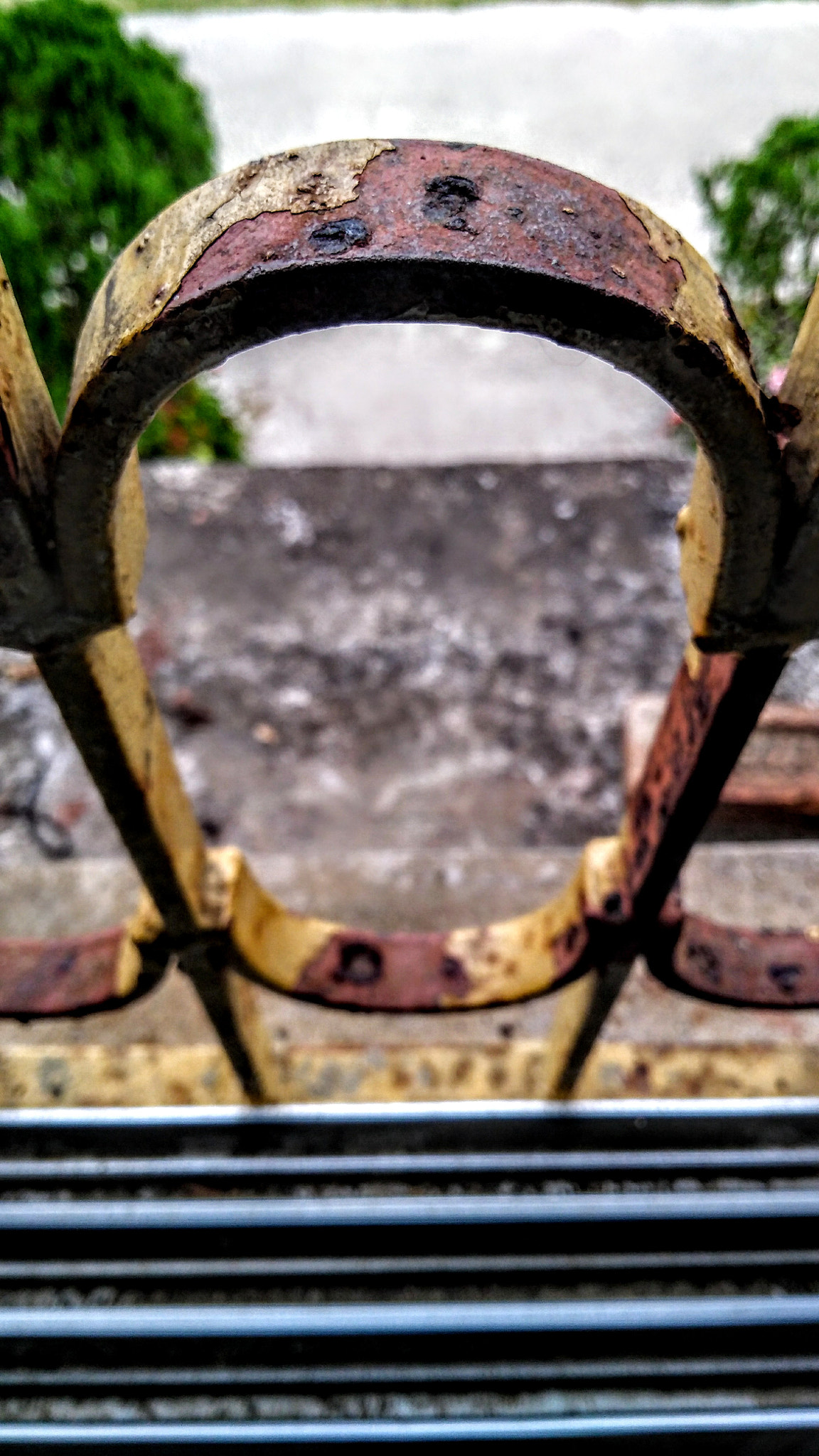 Motorola Moto G (5S) Plus sample photo. Window....... photography