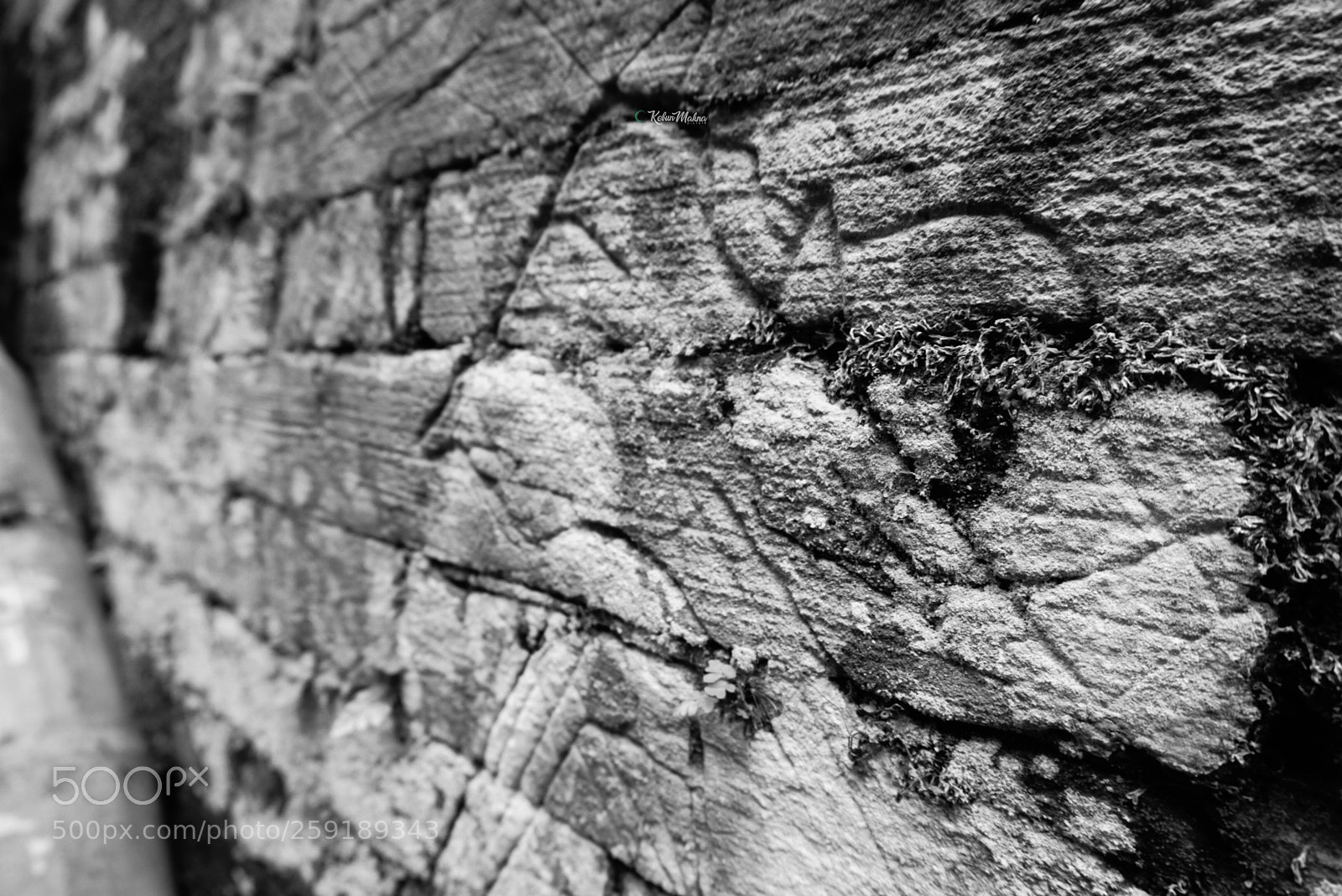 Sony a6000 sample photo. The puppet wall photography