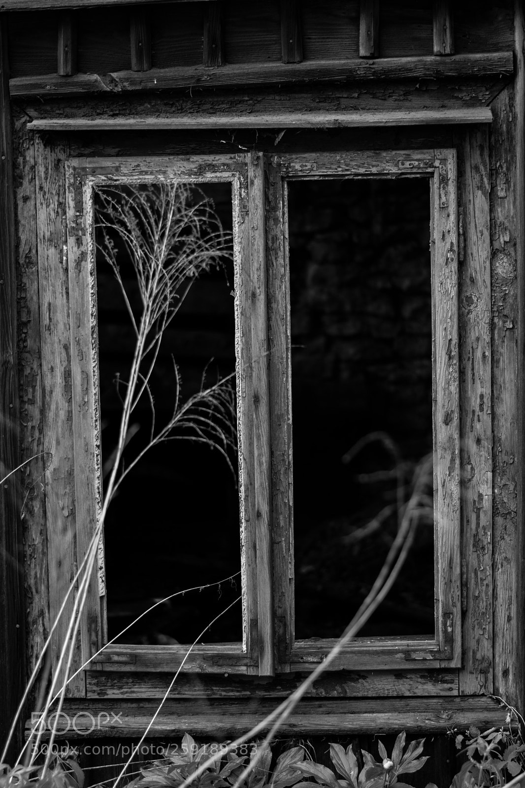 Nikon D5300 sample photo. Window photography