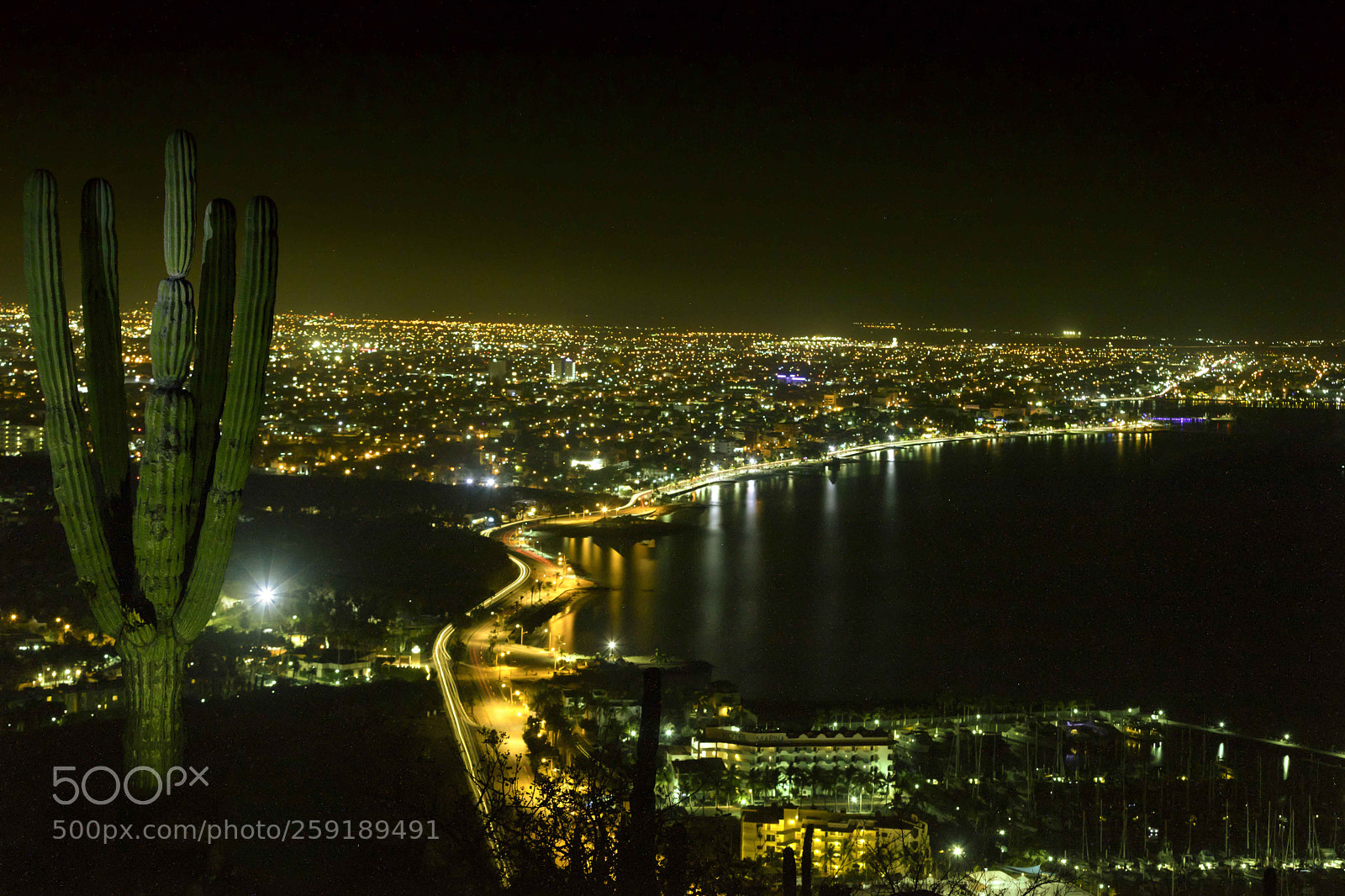 Canon EOS 5D Mark IV sample photo. Cardon malecon la paz photography