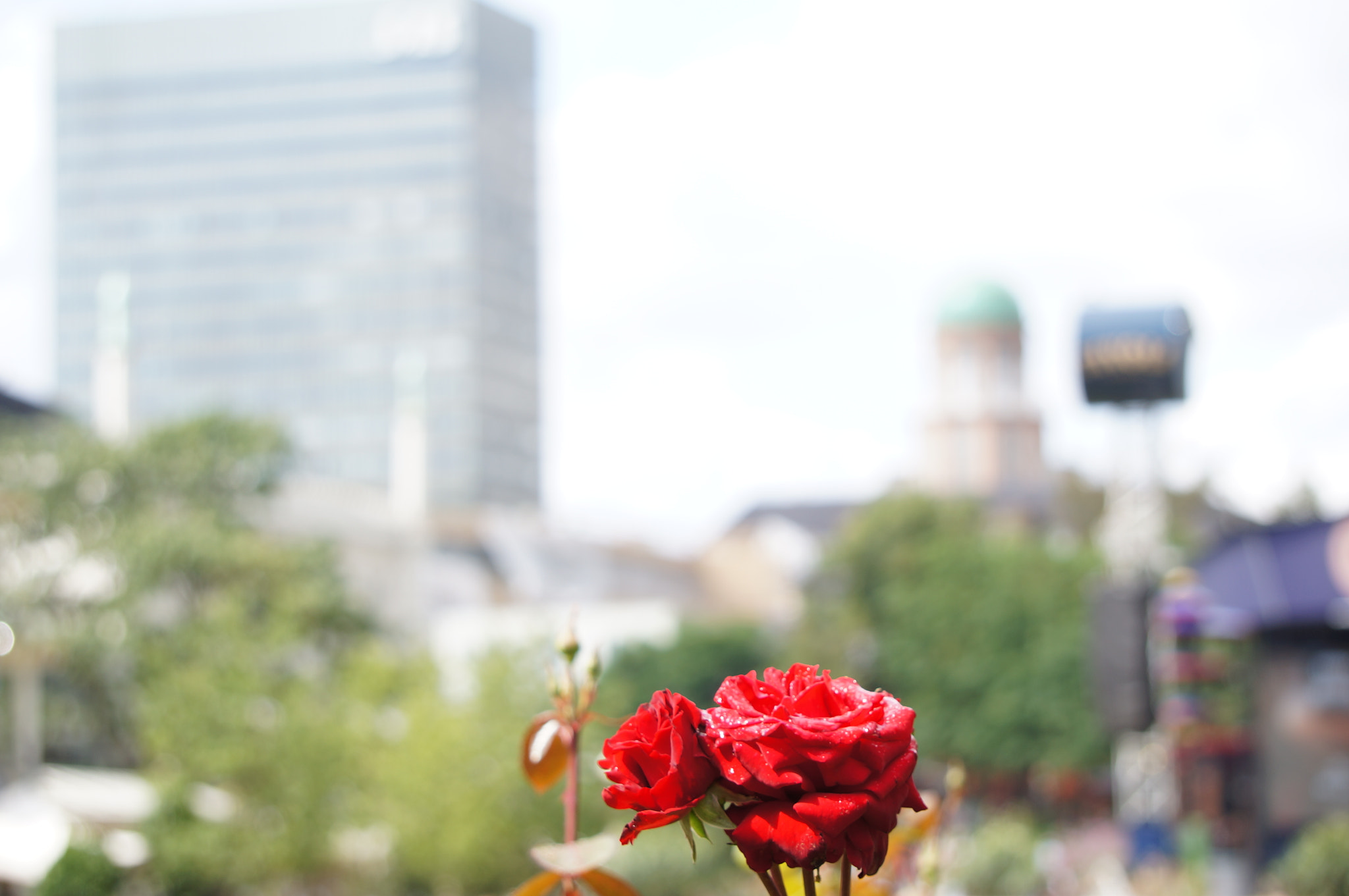 Sony Alpha NEX-5N sample photo. Welcome, copenhagen photography