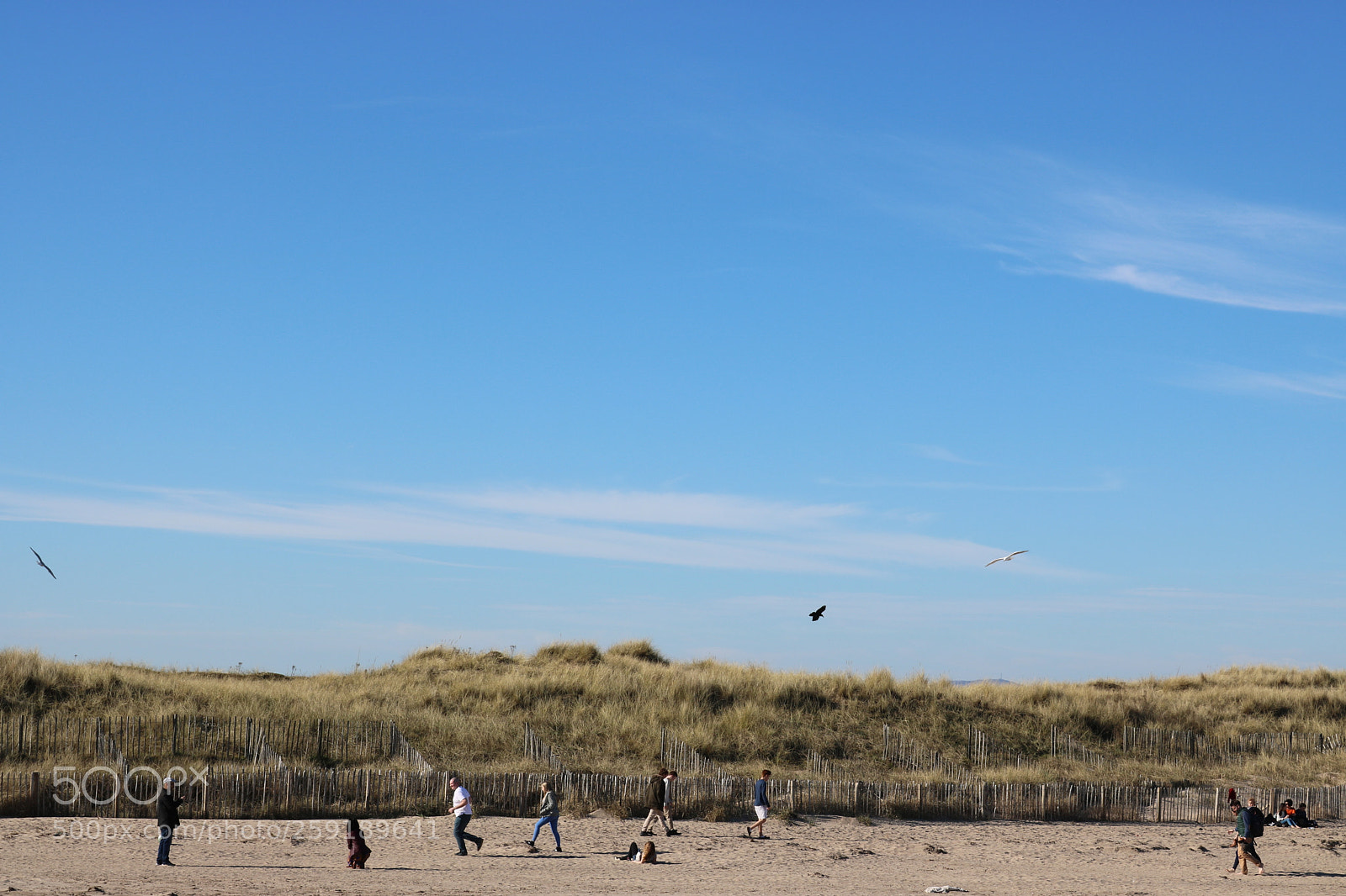 Canon EOS 750D (EOS Rebel T6i / EOS Kiss X8i) sample photo. Busy beach photography