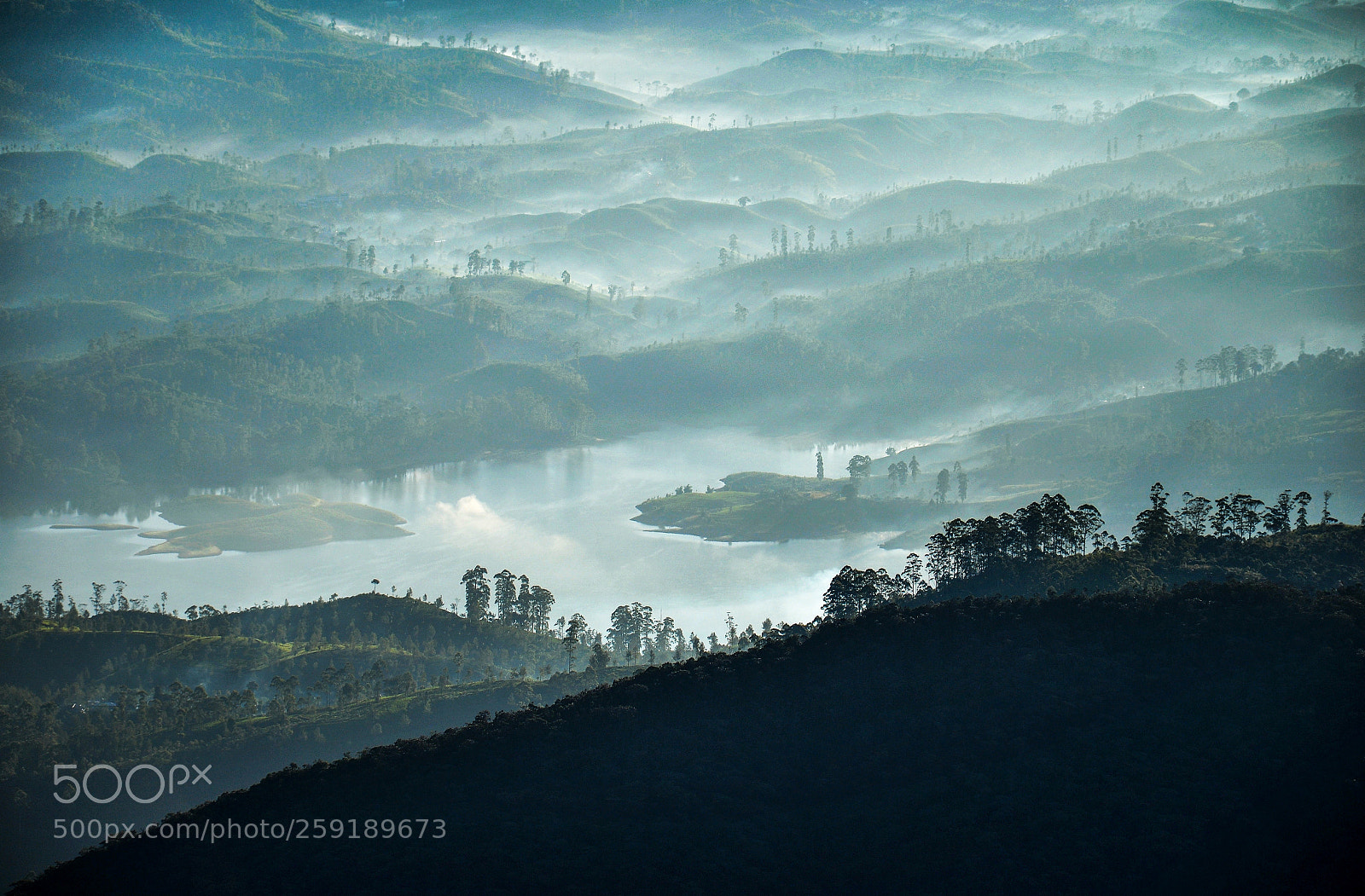 Nikon D5100 sample photo. Sri lankan misty morning photography