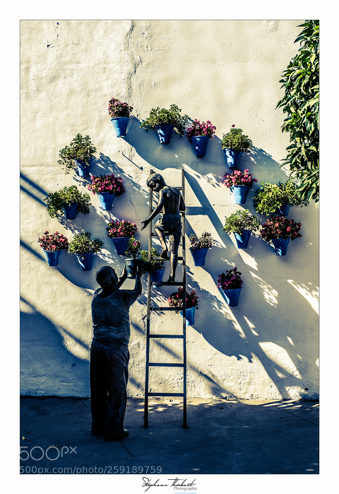 Fujifilm X-T2 sample photo. Vie de patio photography