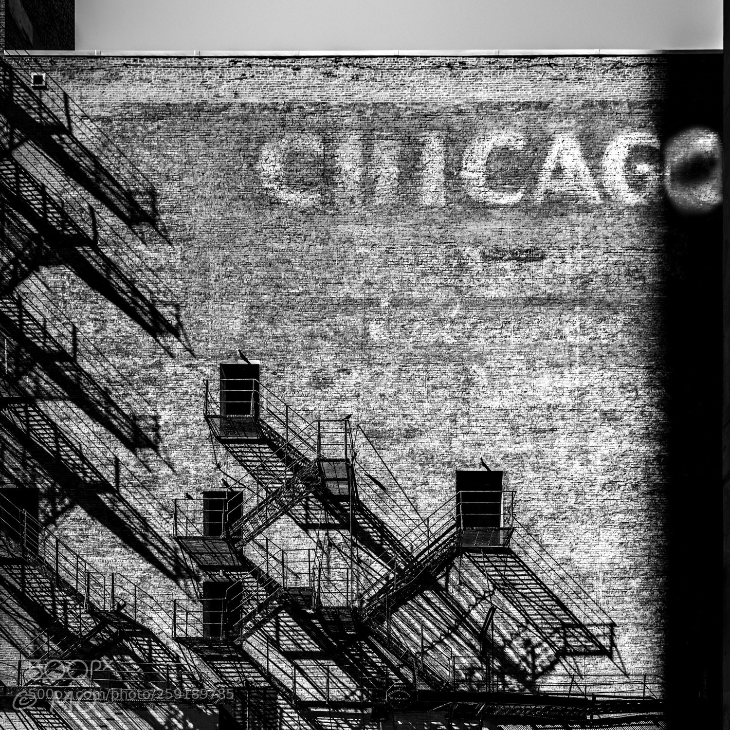 Nikon D800 sample photo. Chicago photography