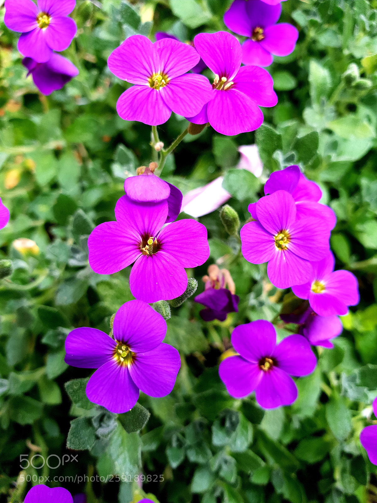 Samsung Galaxy S9 sample photo. Untitled photography