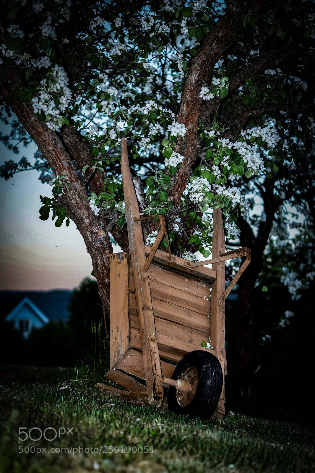 Sony SLT-A77 sample photo. Resting photography