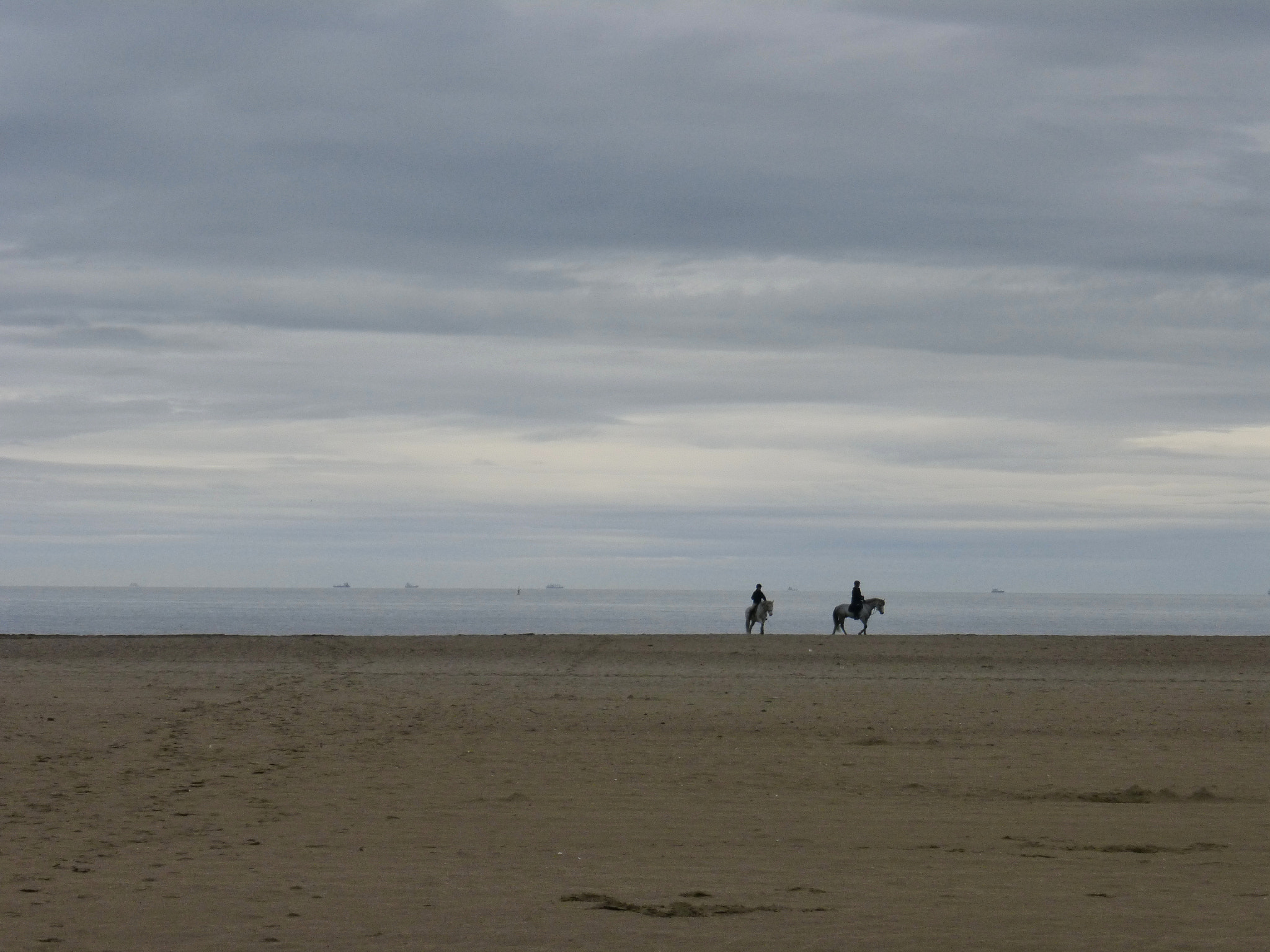 Panasonic DMC-TZ36 sample photo. Horses on the beach photography