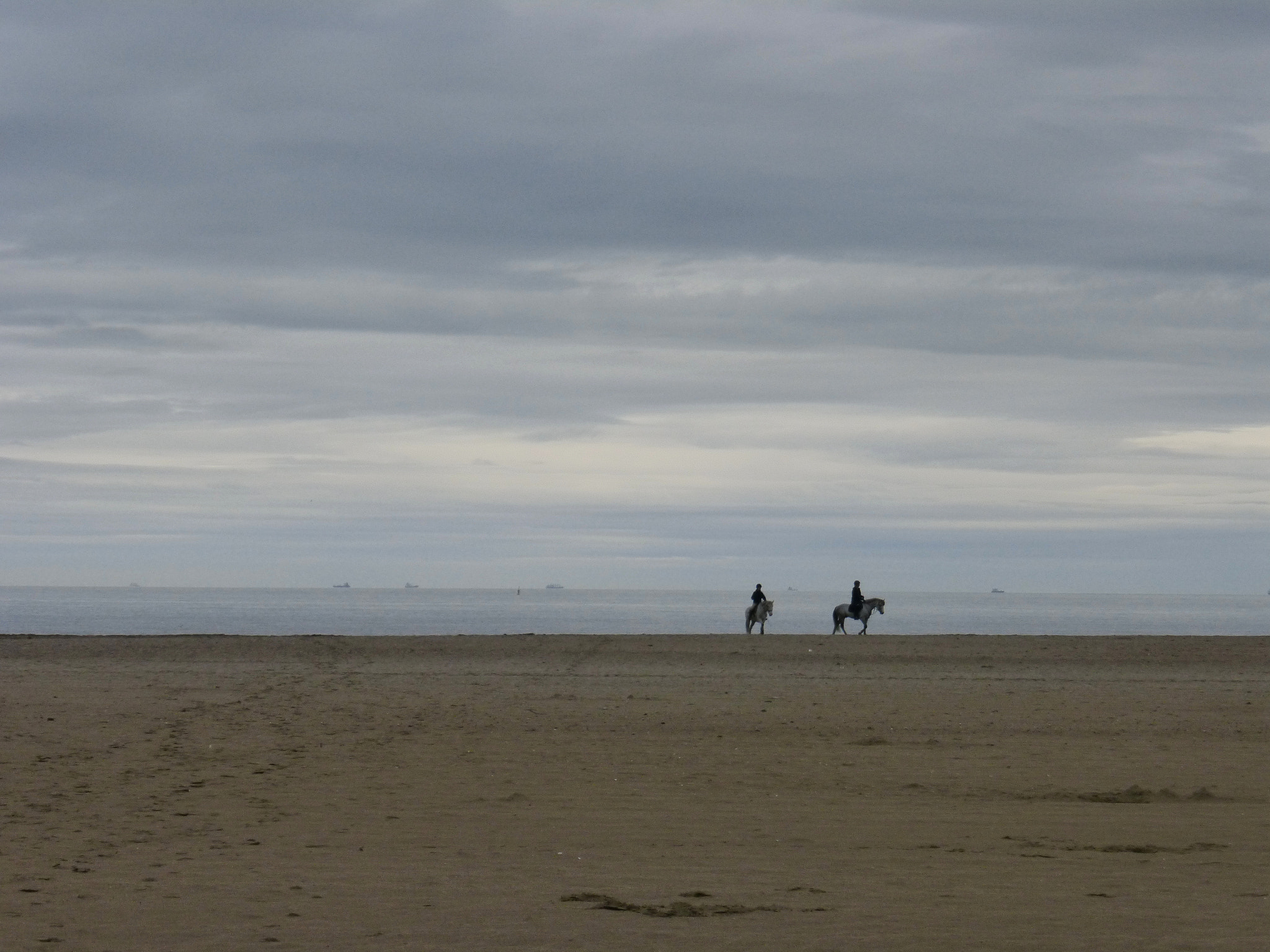 Panasonic DMC-TZ36 sample photo. Horses on the beach photography