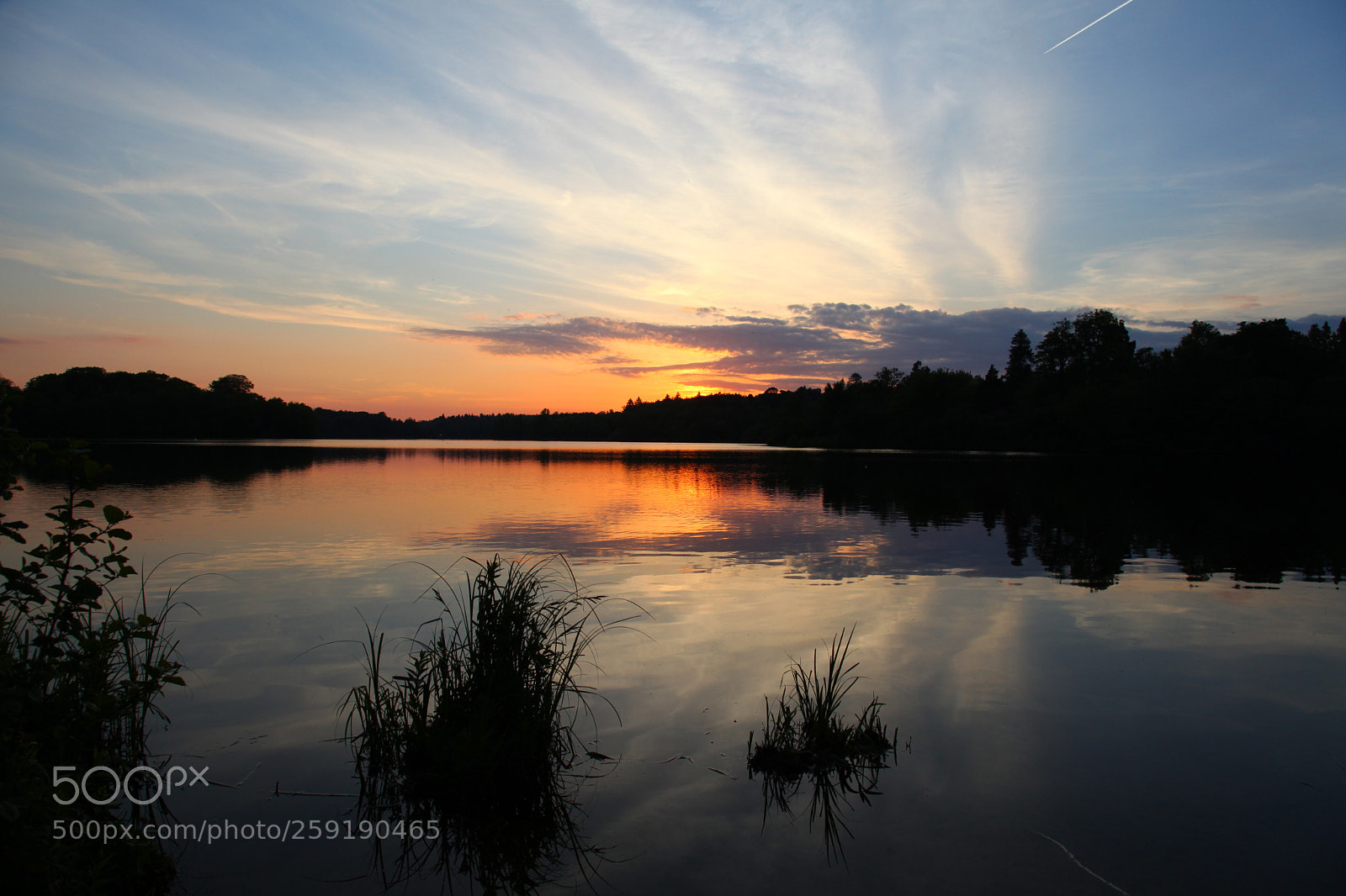 Canon EOS 5D Mark II sample photo. Virginia water reflections photography