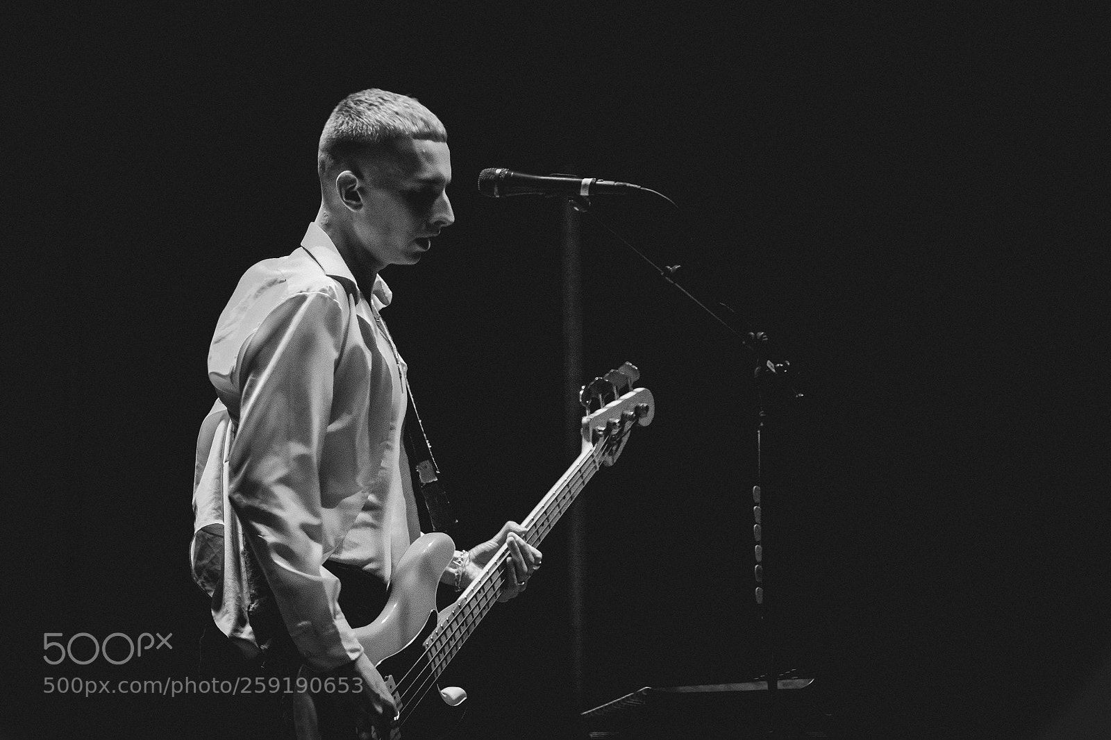 Canon EOS 600D (Rebel EOS T3i / EOS Kiss X5) sample photo. Wolf alice photography