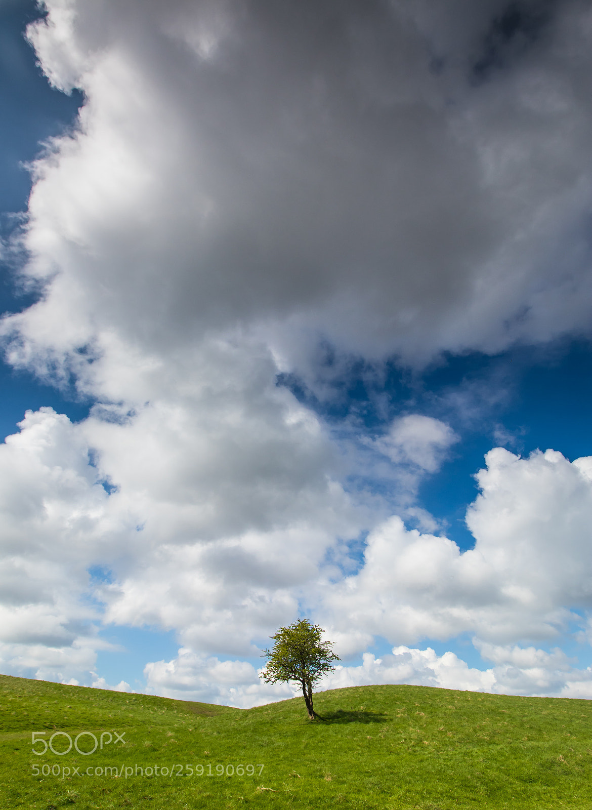 Canon EOS 80D sample photo. That irish countryside photography