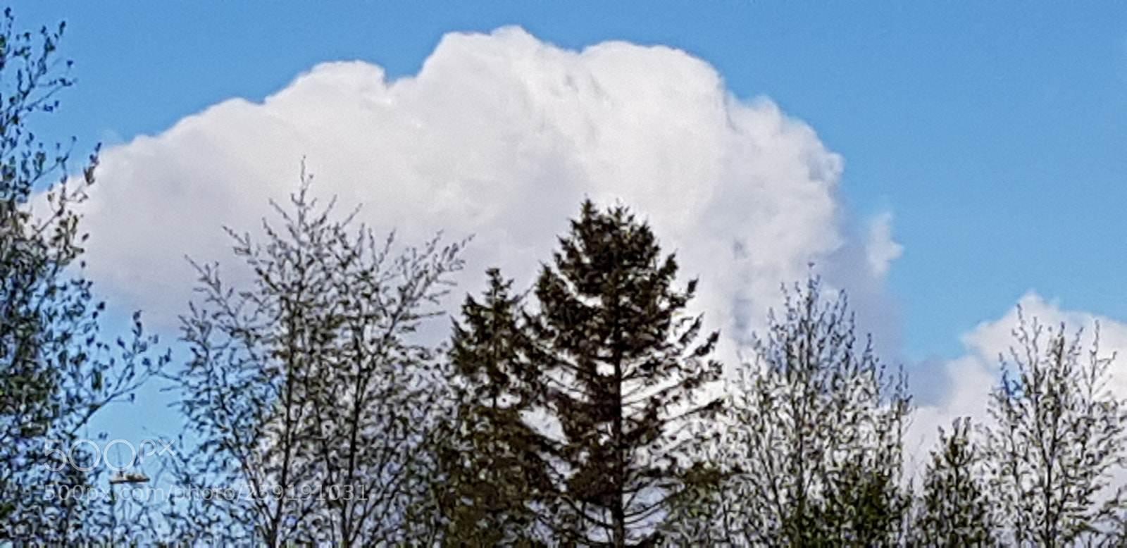 Samsung Galaxy S8 sample photo. White cloud photography