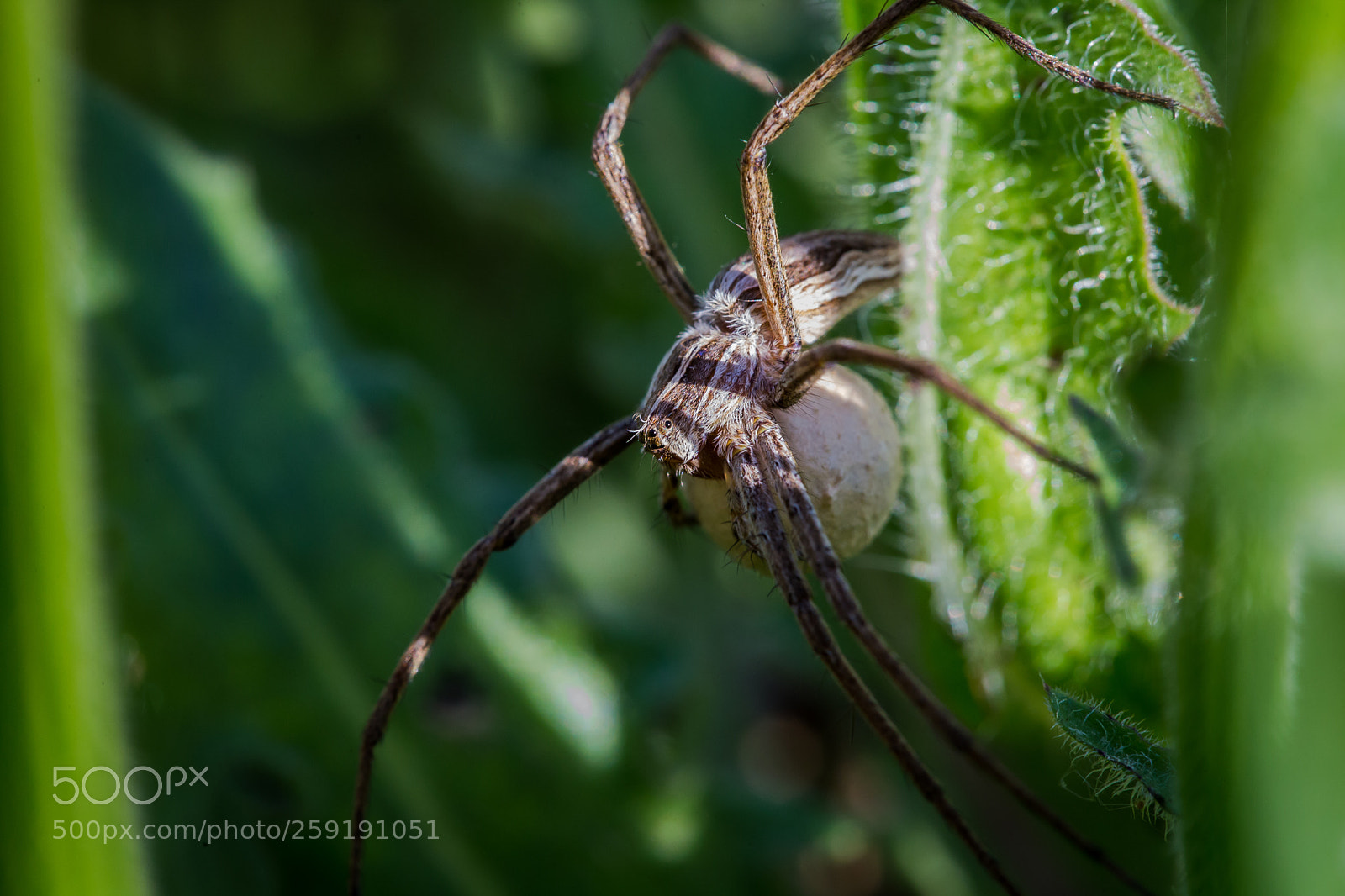Canon EOS 6D sample photo. Untitled photography