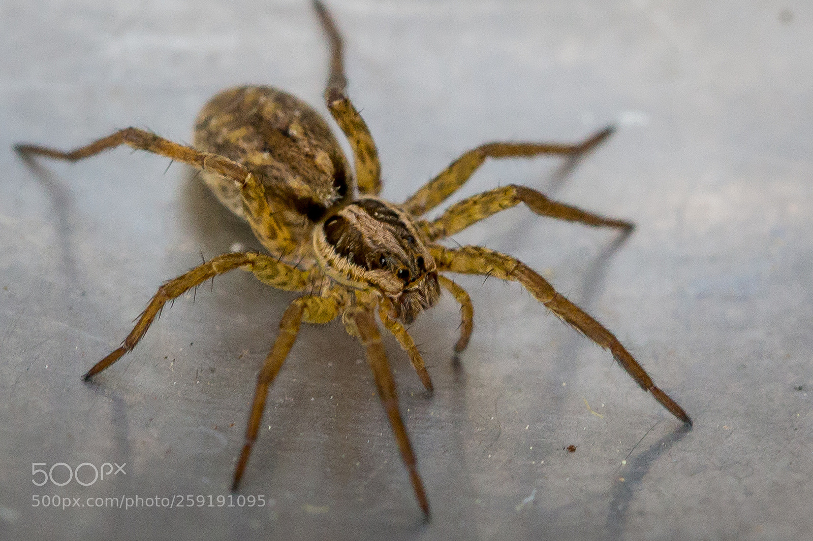 Canon EOS 6D sample photo. Untitled photography