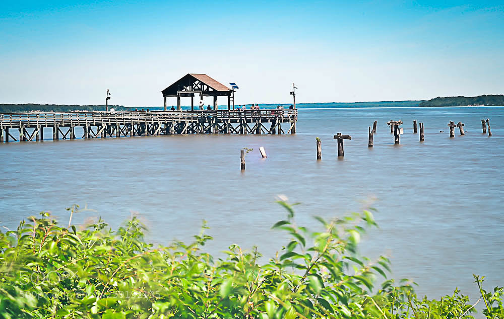 Nikon D7000 sample photo. Leesylvania state park photography