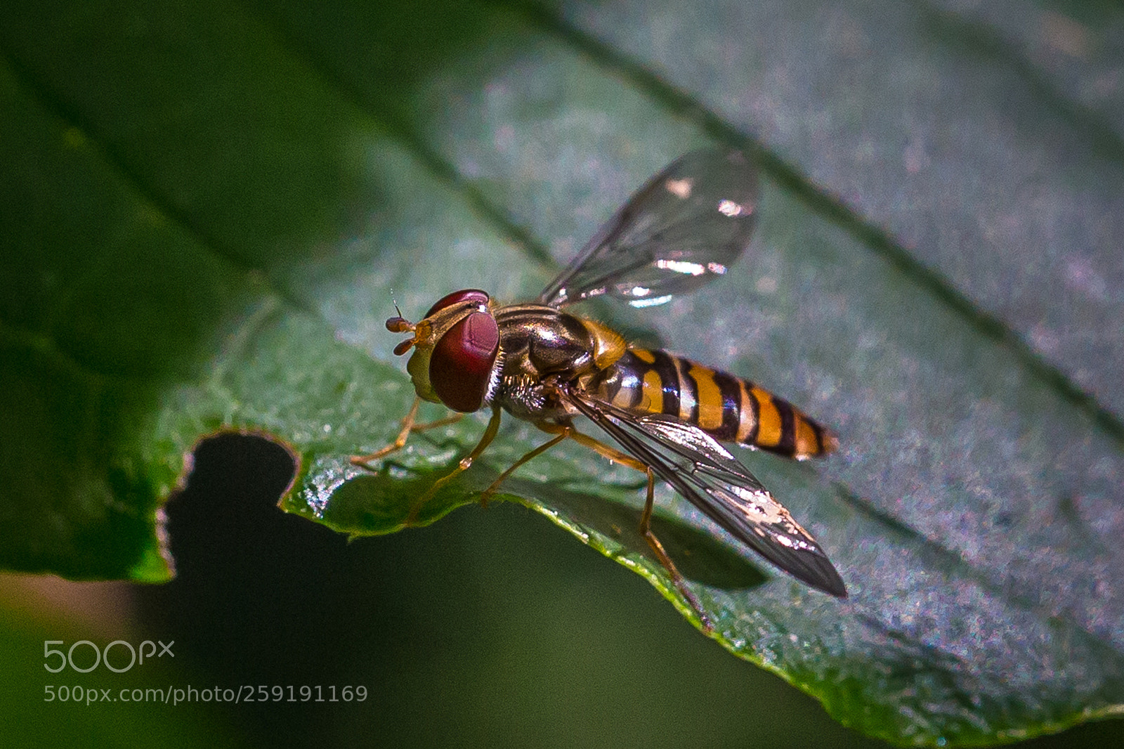 Canon EOS 6D sample photo. Untitled photography