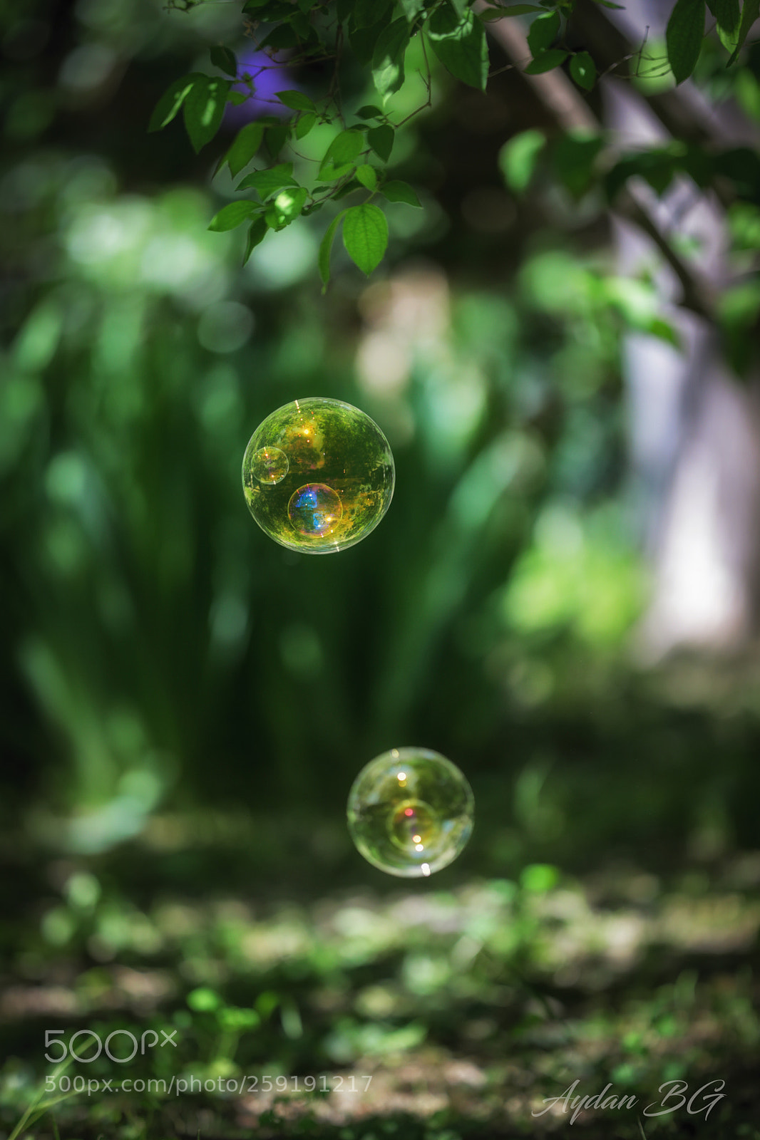 Canon EOS 5D Mark IV sample photo. Ea photography