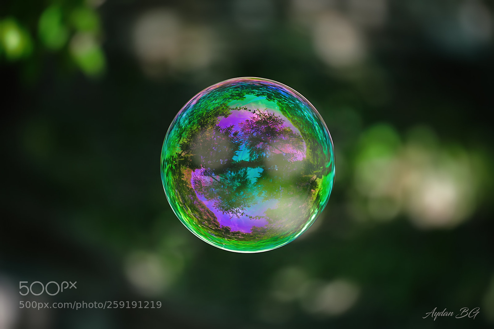 Canon EOS 5D Mark IV sample photo. Ea photography