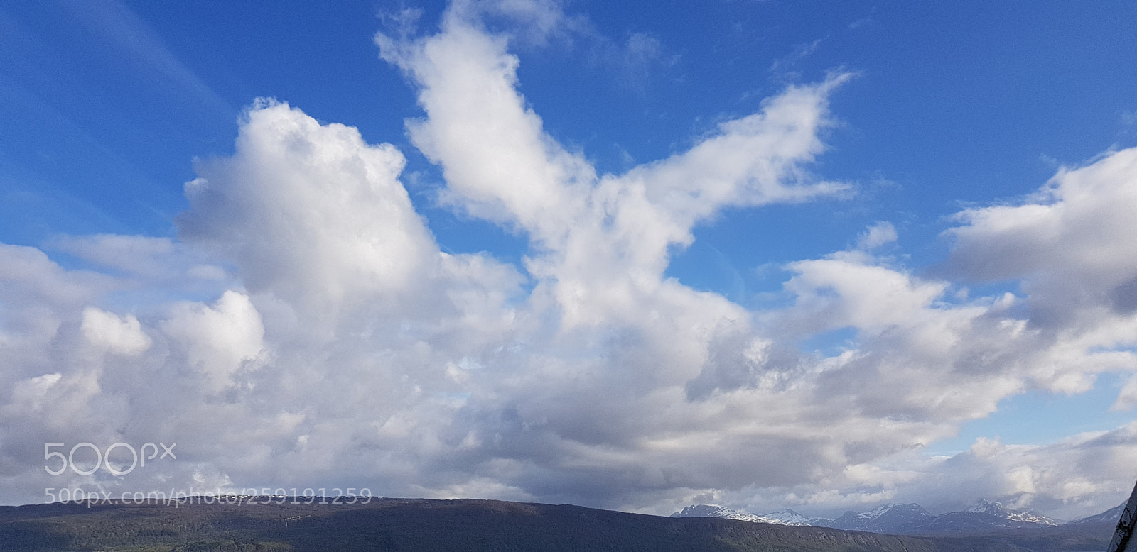 Samsung Galaxy S8 sample photo. Bird cloud photography
