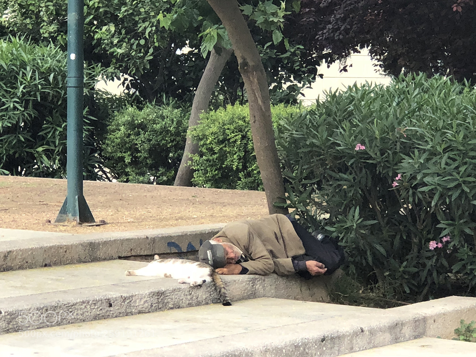 Apple iPhone 8 Plus sample photo. Deep relaxation photography