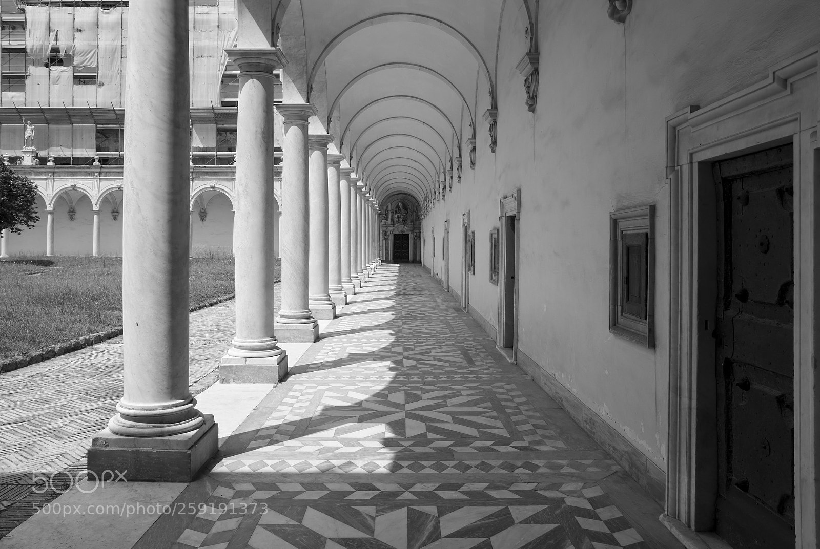 Nikon D5100 sample photo. White black white photography