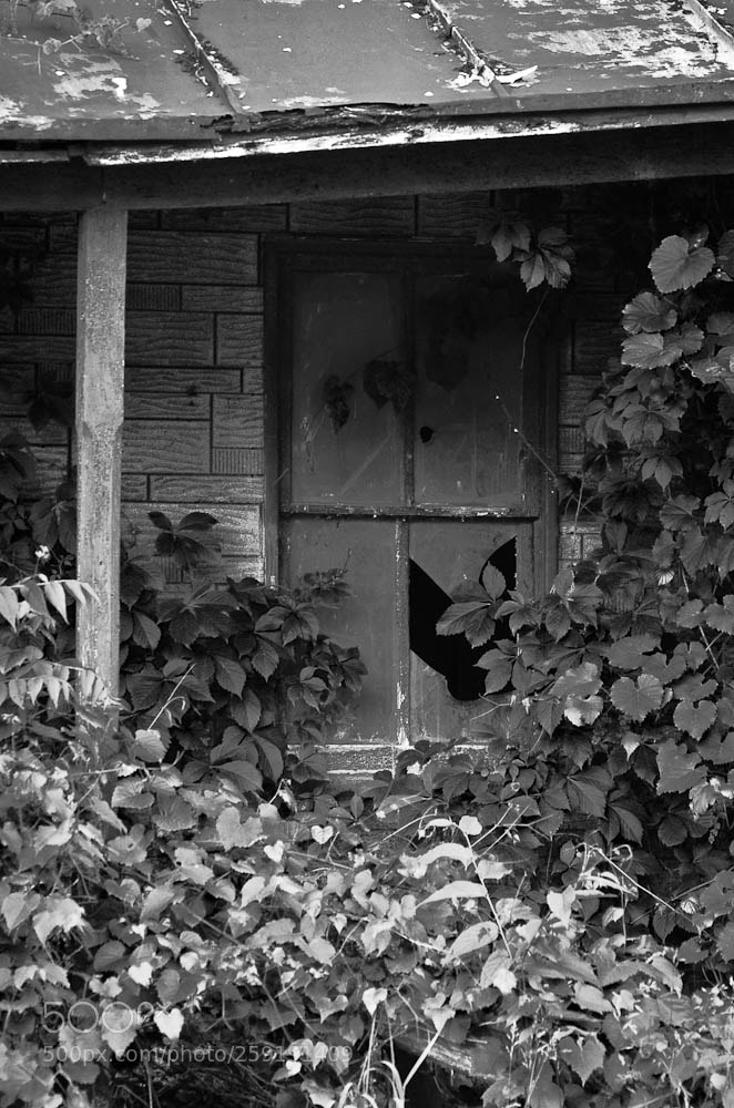 Nikon D7000 sample photo. Moorefiled, wv and some photography