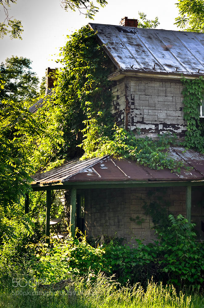 Nikon D7000 sample photo. Moorefiled, wv and some photography