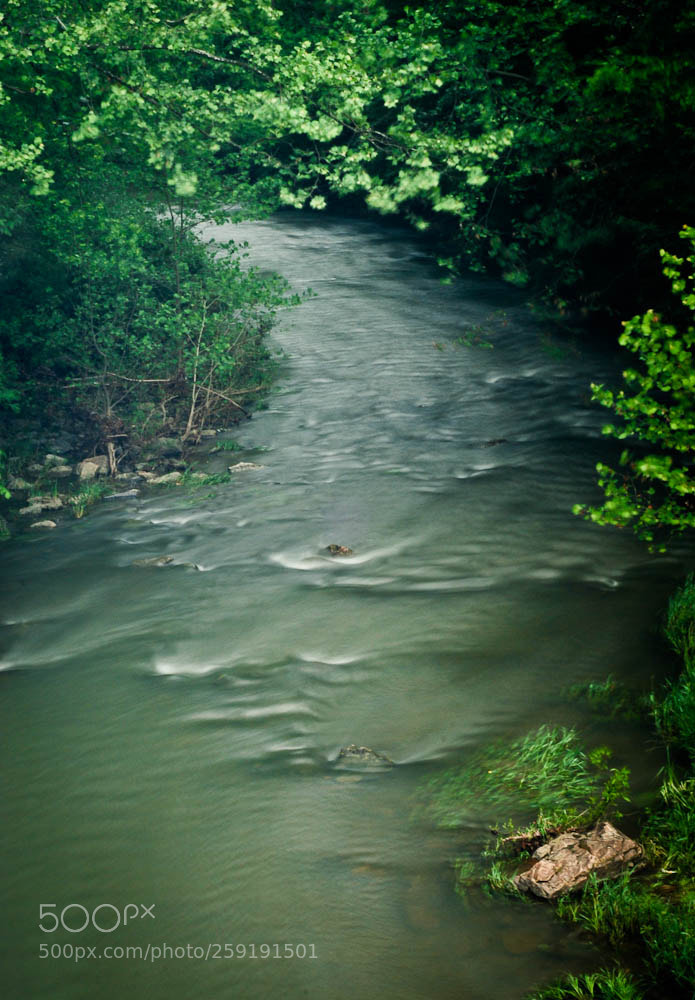 Nikon D80 sample photo. Moorefiled, wv and some photography