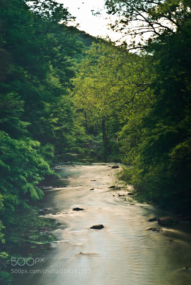 Nikon D80 sample photo. Moorefiled, wv and some photography