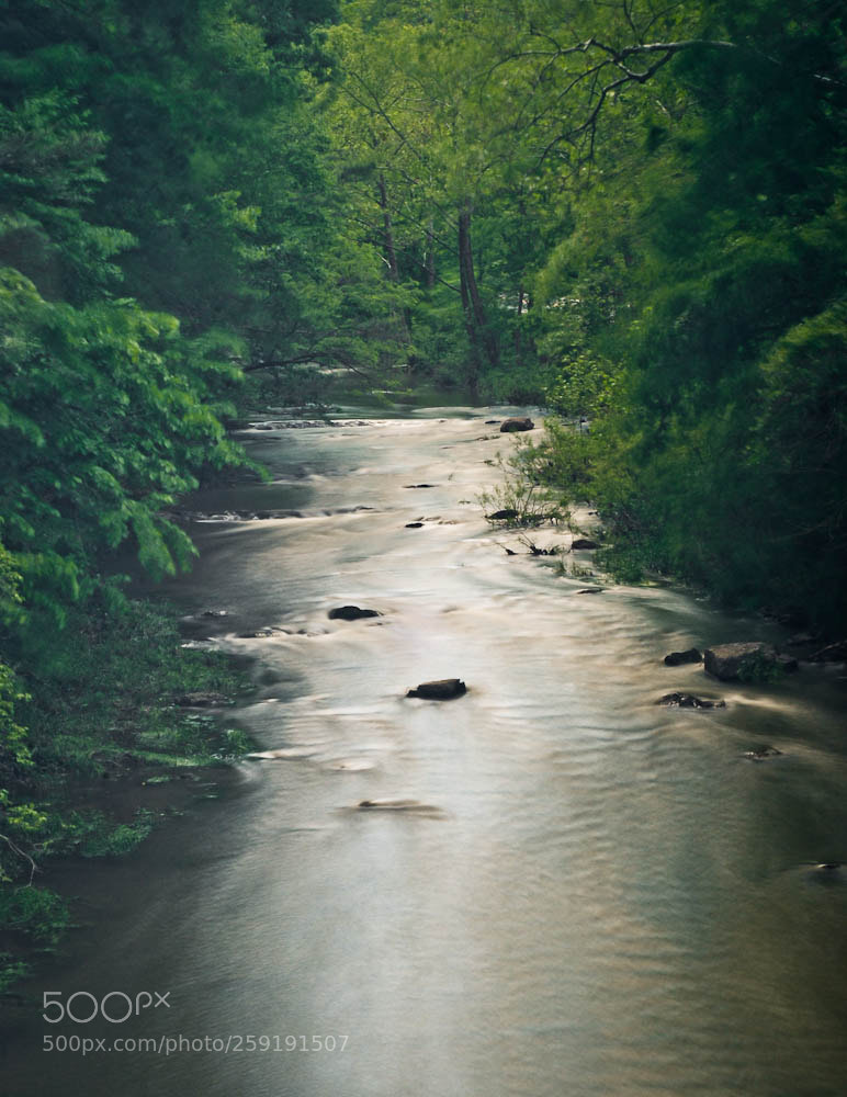 Nikon D80 sample photo. Moorefiled, wv and some photography