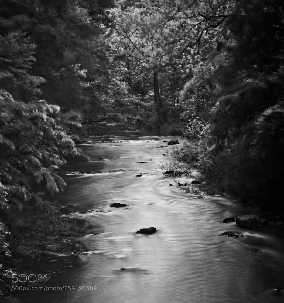 Nikon D80 sample photo. Moorefiled, wv and some photography