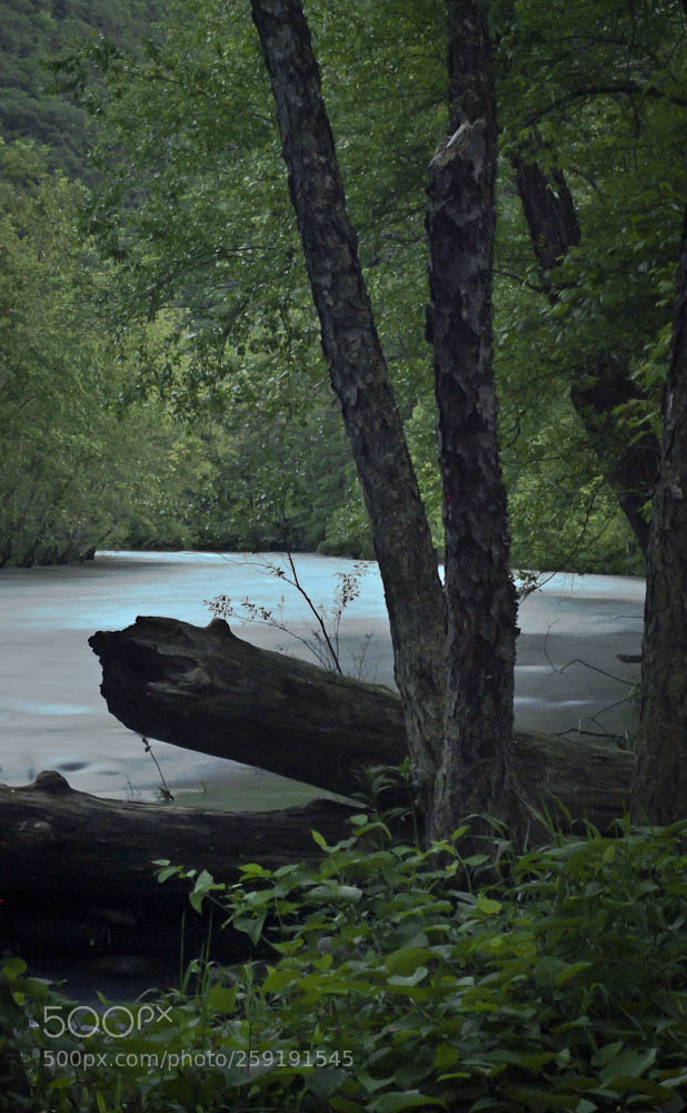 Nikon D80 sample photo. Moorefiled, wv and some photography