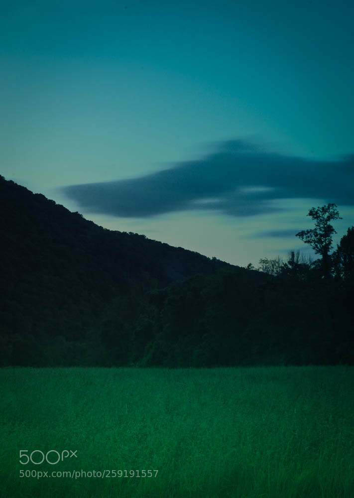 Nikon D80 sample photo. Moorefiled, wv and some photography