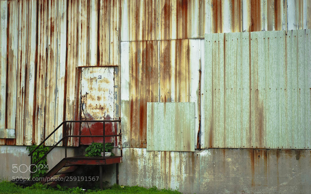 Nikon D80 sample photo. Moorefiled, wv and some photography