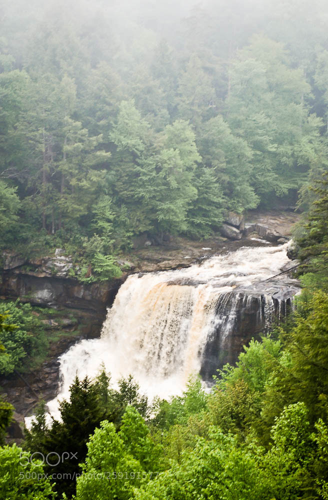 Nikon D80 sample photo. Moorefiled, wv and some photography