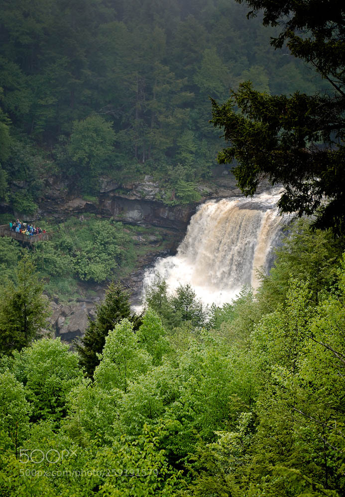 Nikon D80 sample photo. Moorefiled, wv and some photography