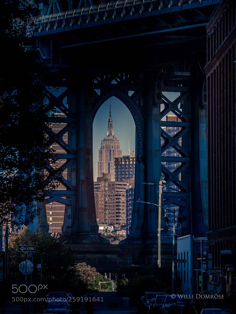 Olympus OM-D E-M1 Mark II sample photo. Thru the bridge photography
