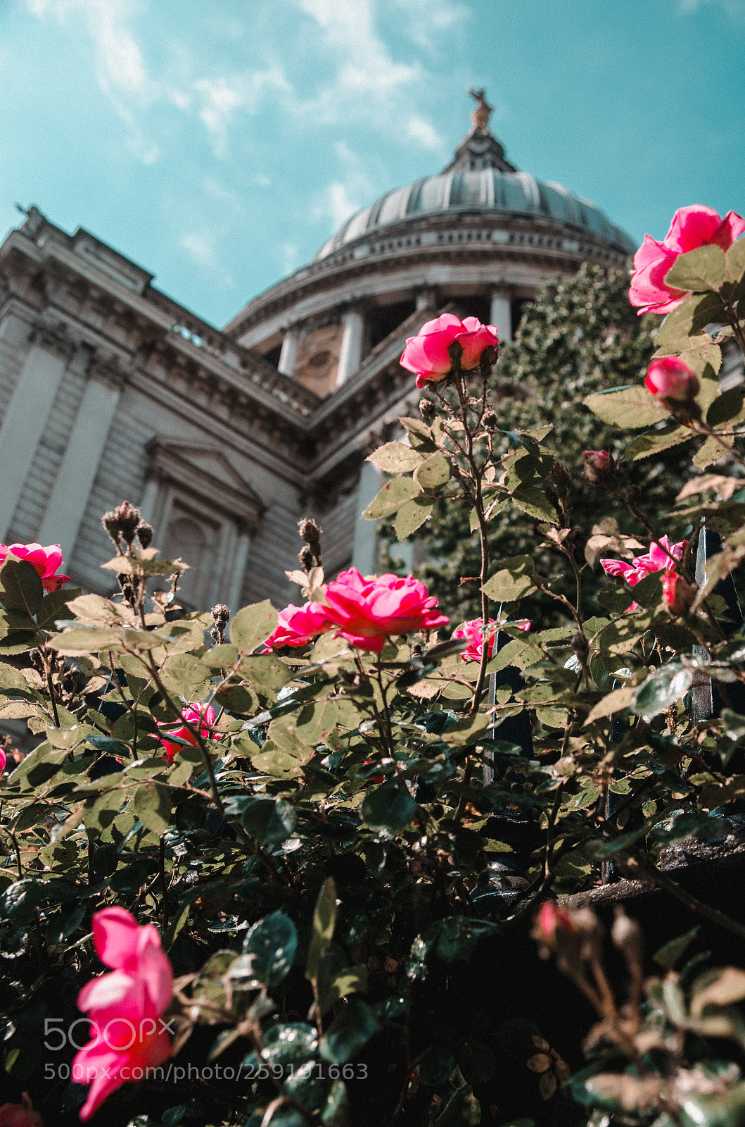 Nikon D7000 sample photo. London photography