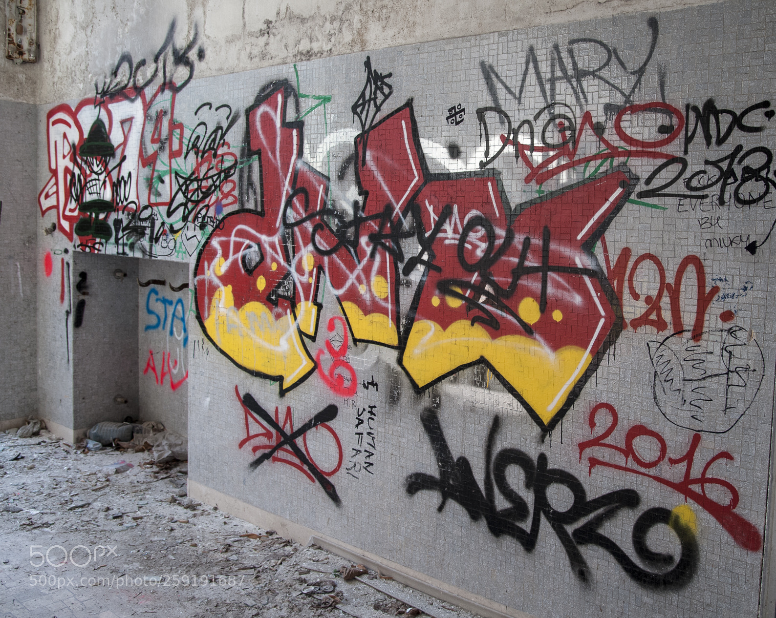 Nikon D700 sample photo. Mombello photography